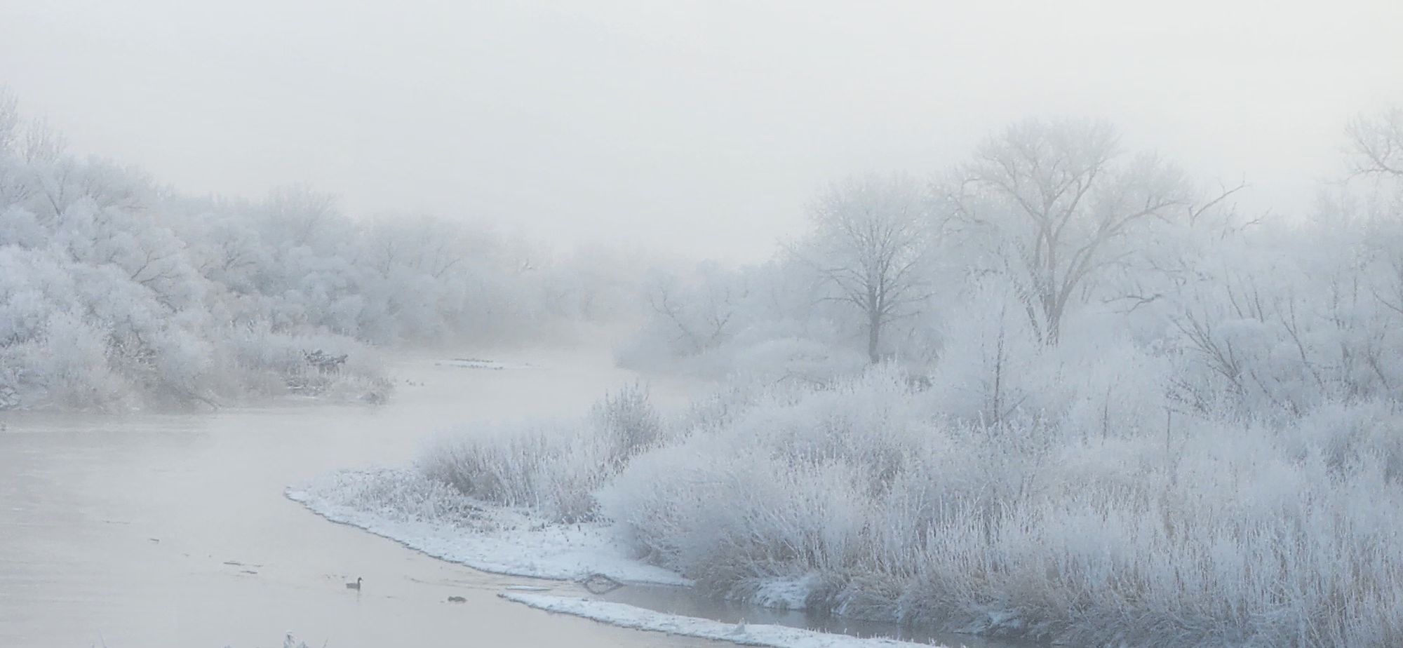 1 Victoria Casillas - Foggy River