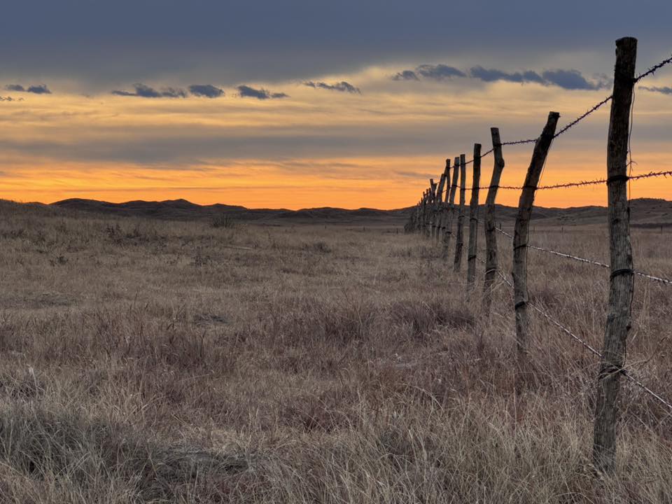 14 Glenna Sherfey - Fence Line