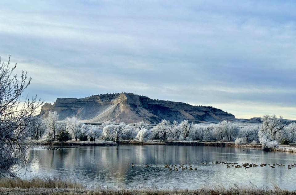 3 Chelsea Johnson - Blue Monument
