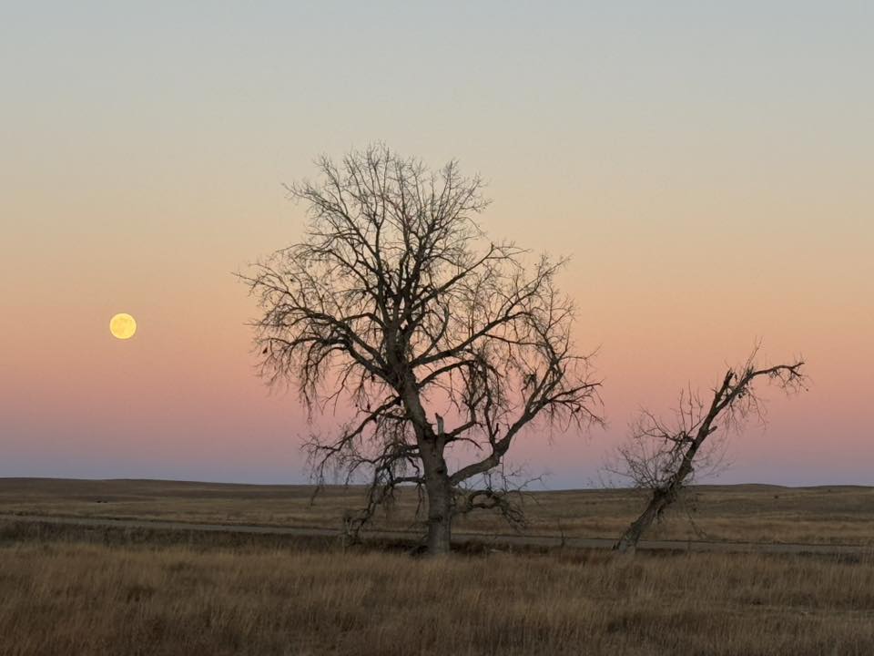 9 Glenna Sherfey - Moon at Sunset
