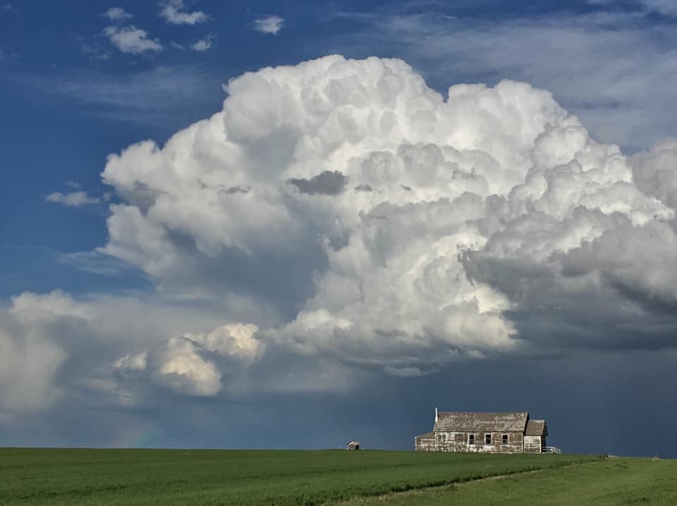 Brewing Storm Brenda Eads Fulk
