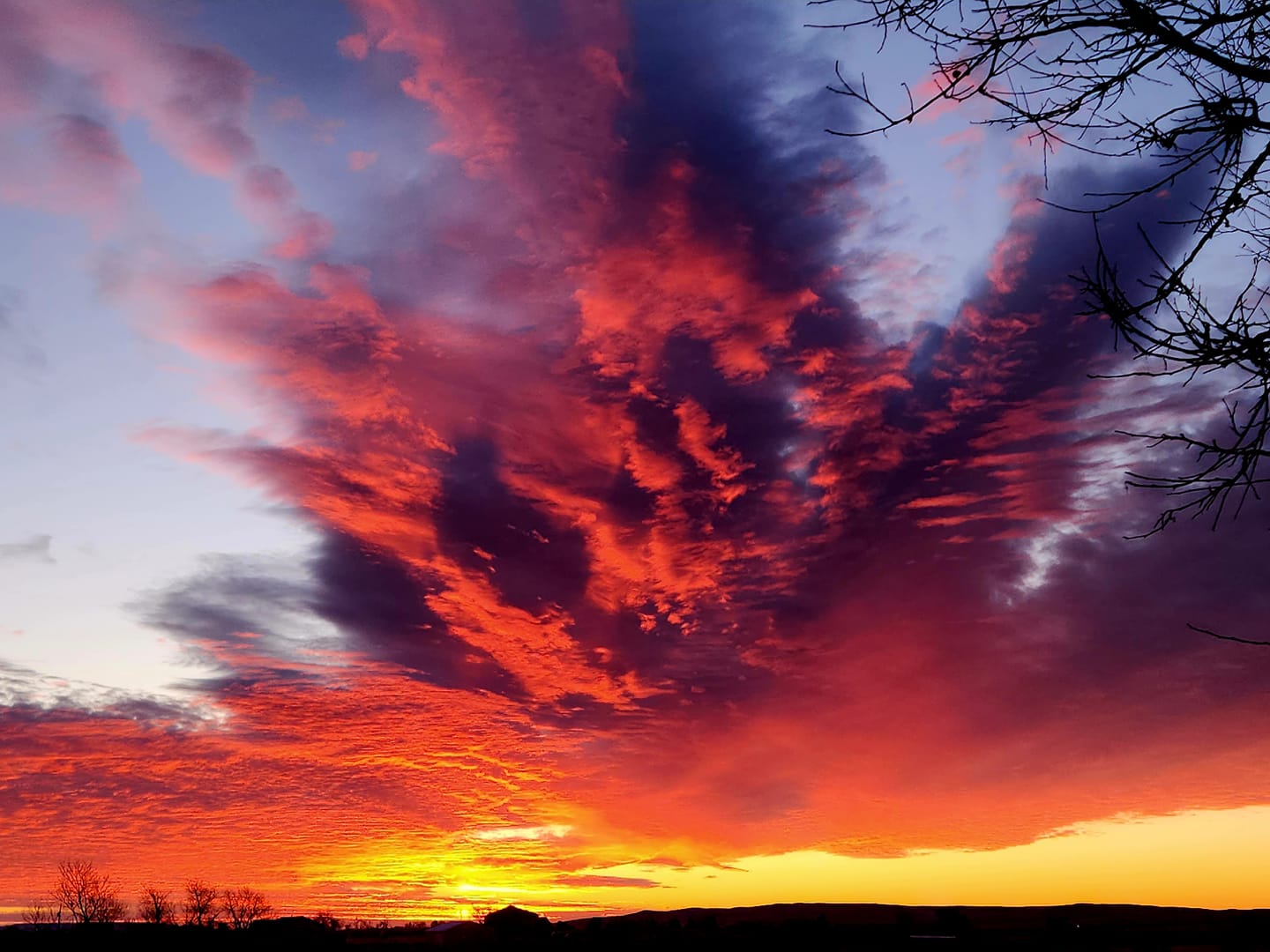 Explosion of Color Minatare Shanon Vollmar