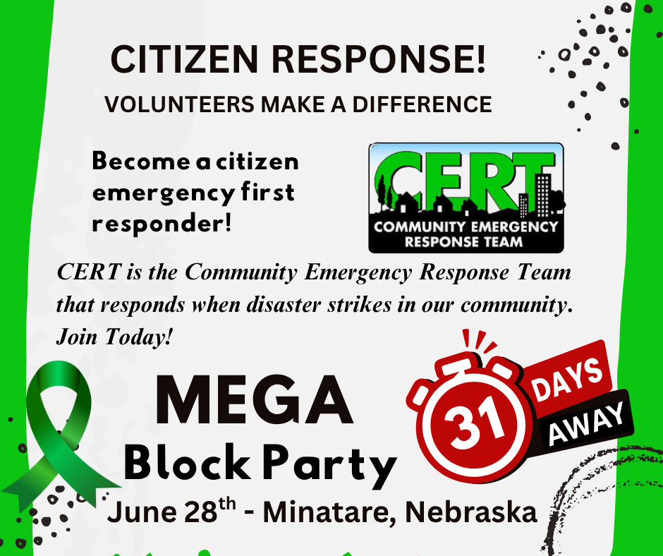 MEGA Block Party