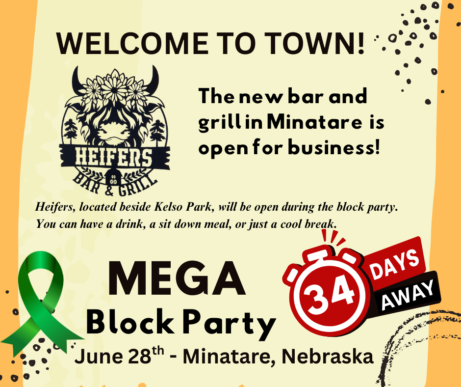 MEGA Block Party