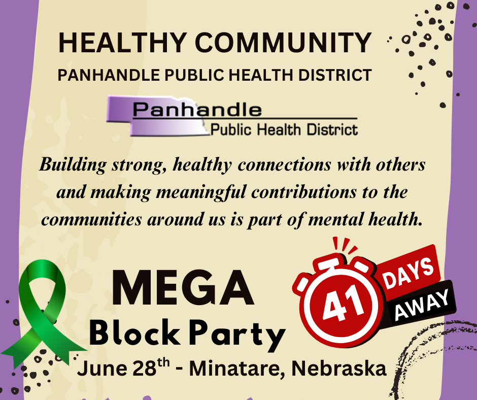 MEGA Block Party