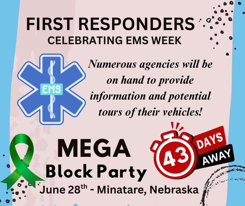 MEGA Block Party