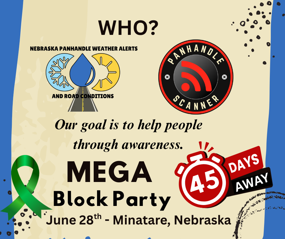 MEGA Block Party