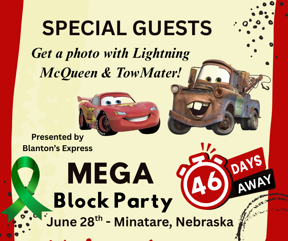 MEGA Block Party
