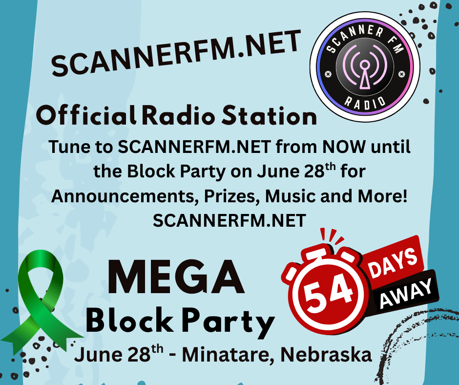 MEGA Block Party
