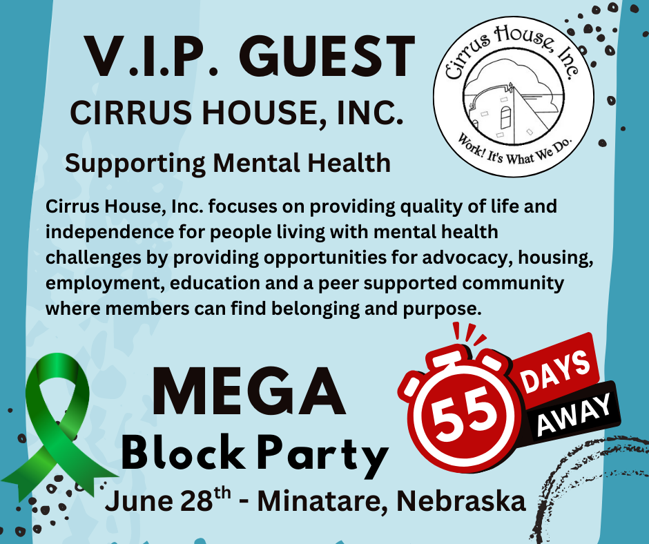 MEGA Block Party