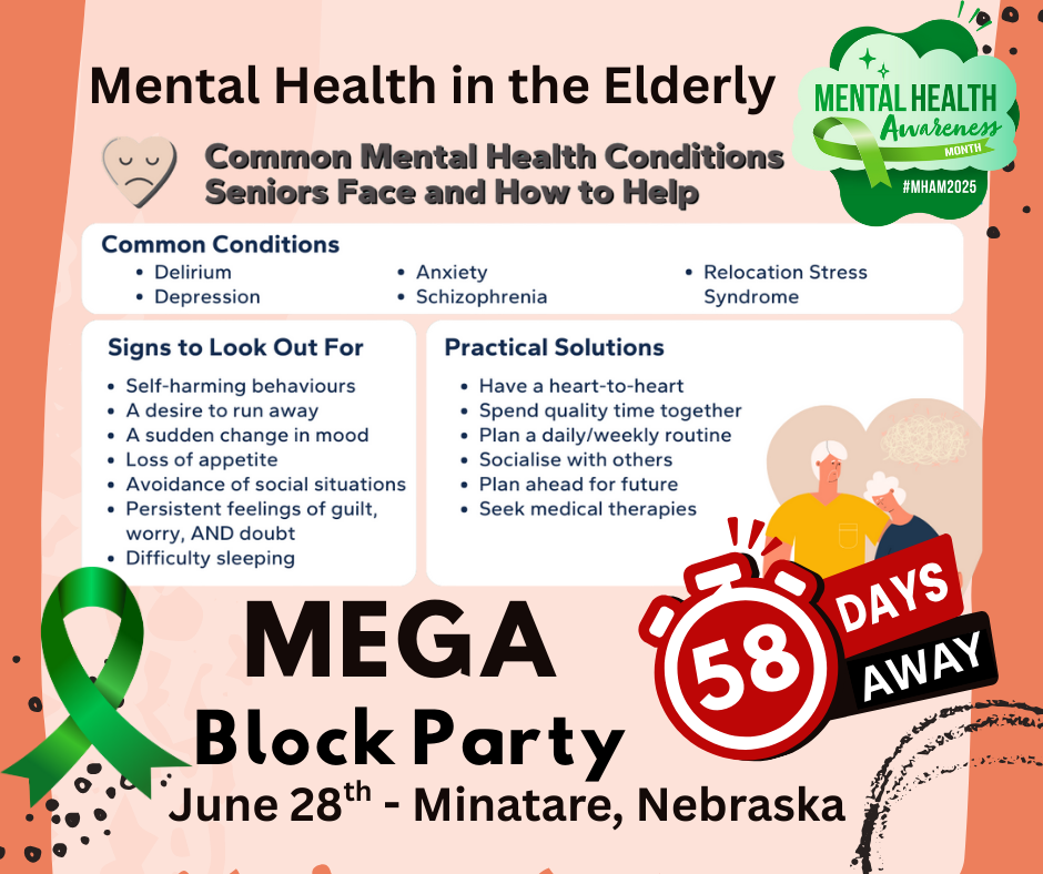 MEGA Block Party