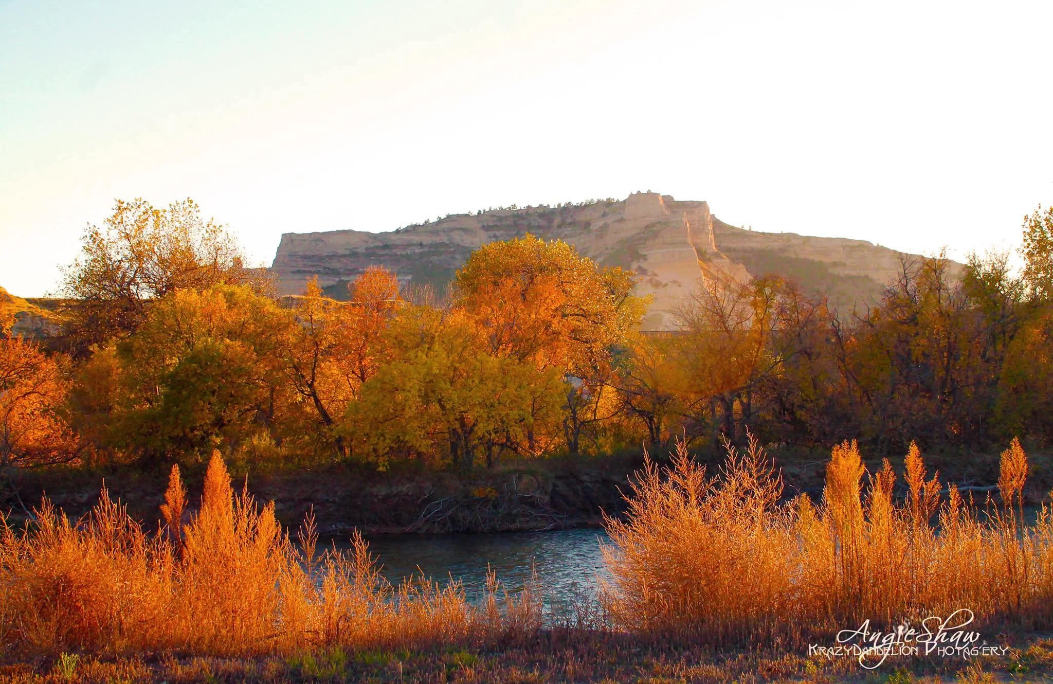 Fall's Finest Colors Angie Shaw